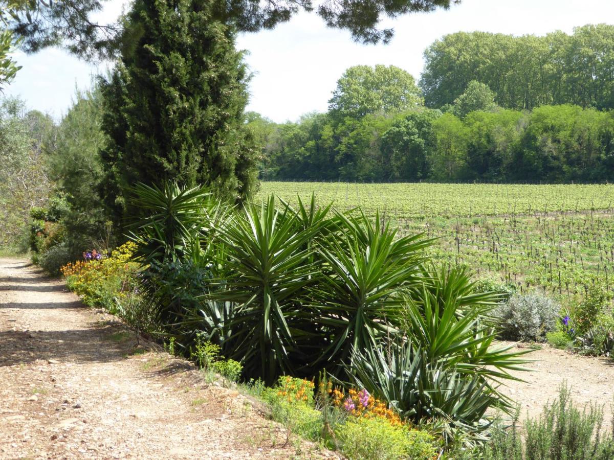 Domaine De L'Herbe Sainte Mirepeisset Ngoại thất bức ảnh