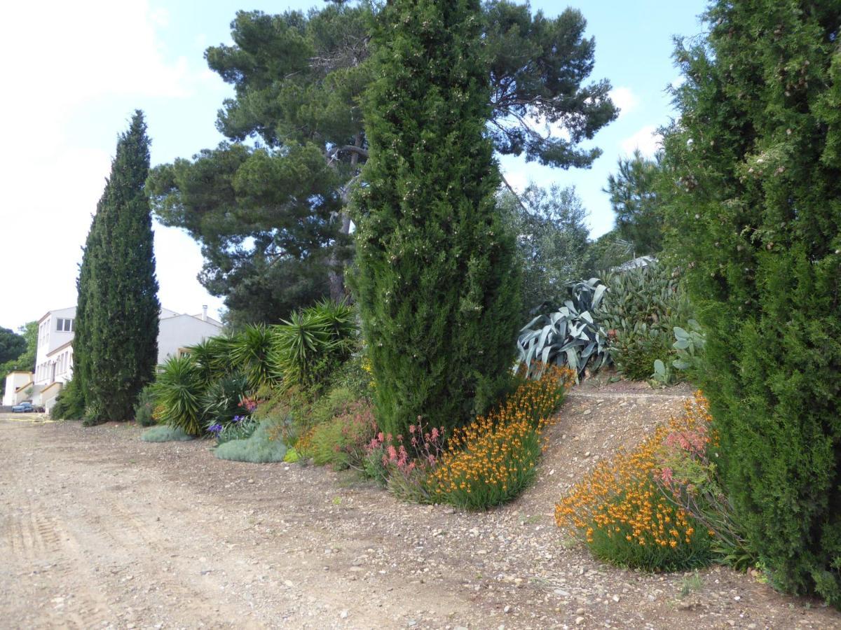 Domaine De L'Herbe Sainte Mirepeisset Ngoại thất bức ảnh
