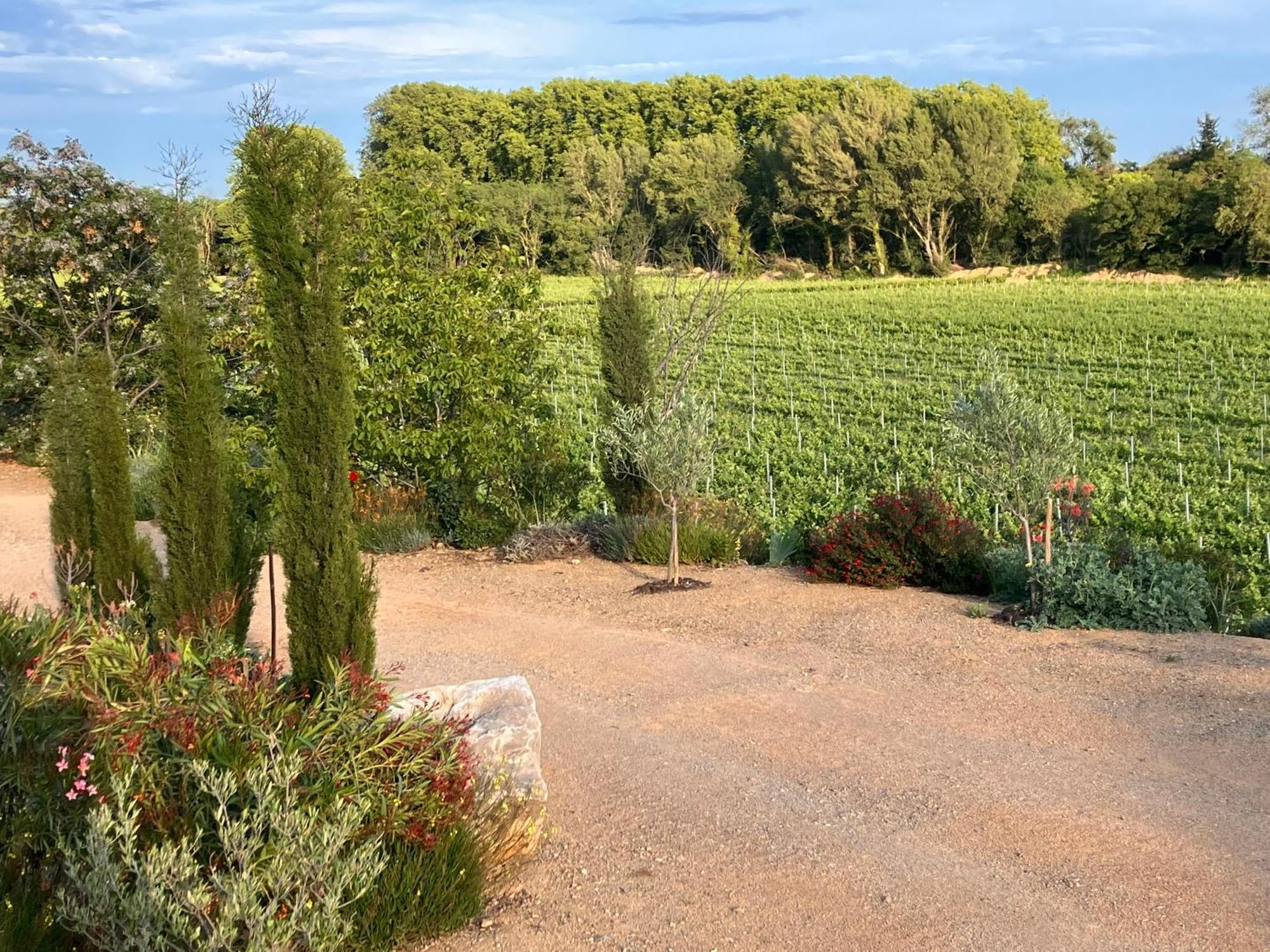 Domaine De L'Herbe Sainte Mirepeisset Ngoại thất bức ảnh