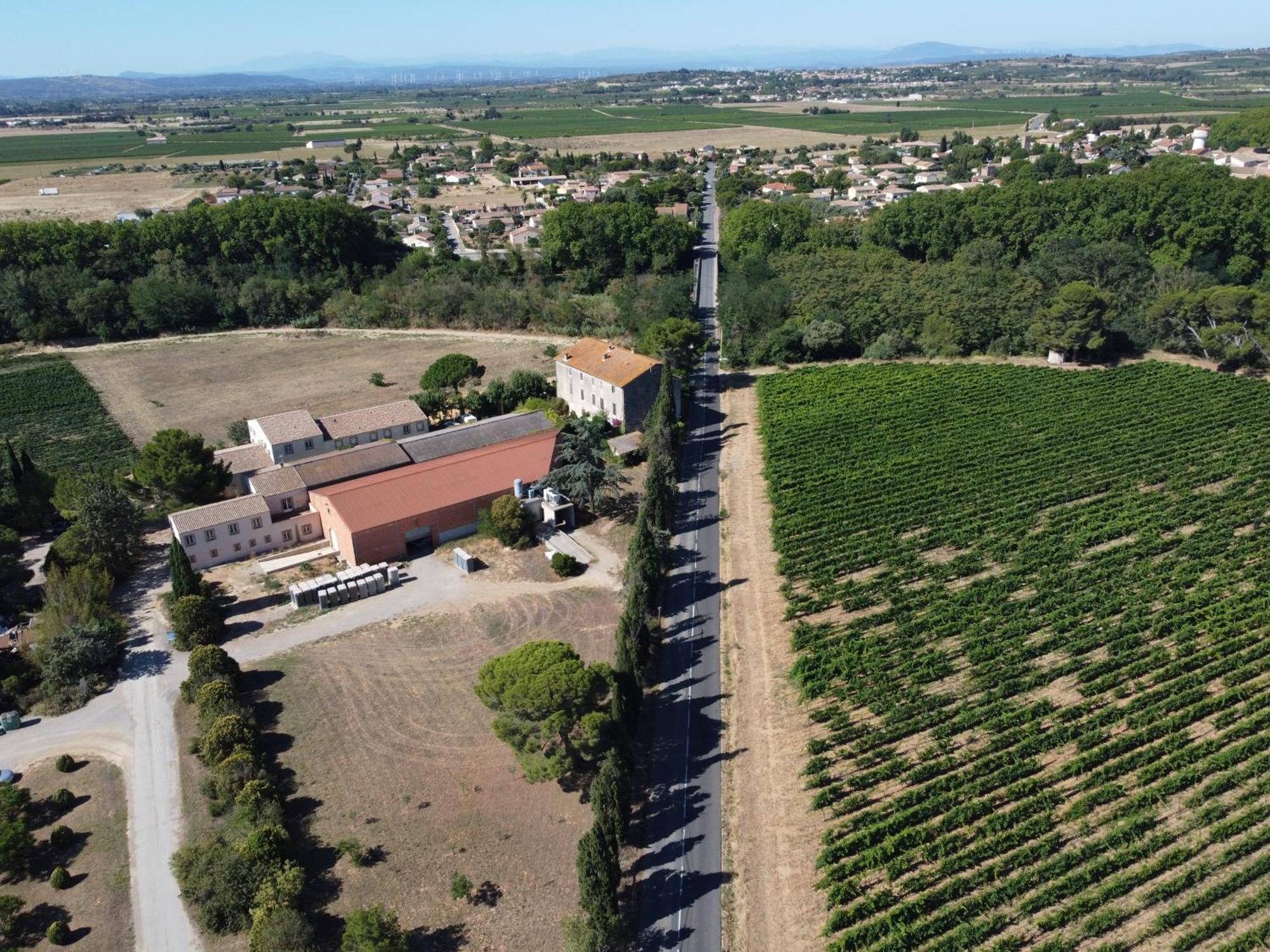 Domaine De L'Herbe Sainte Mirepeisset Ngoại thất bức ảnh