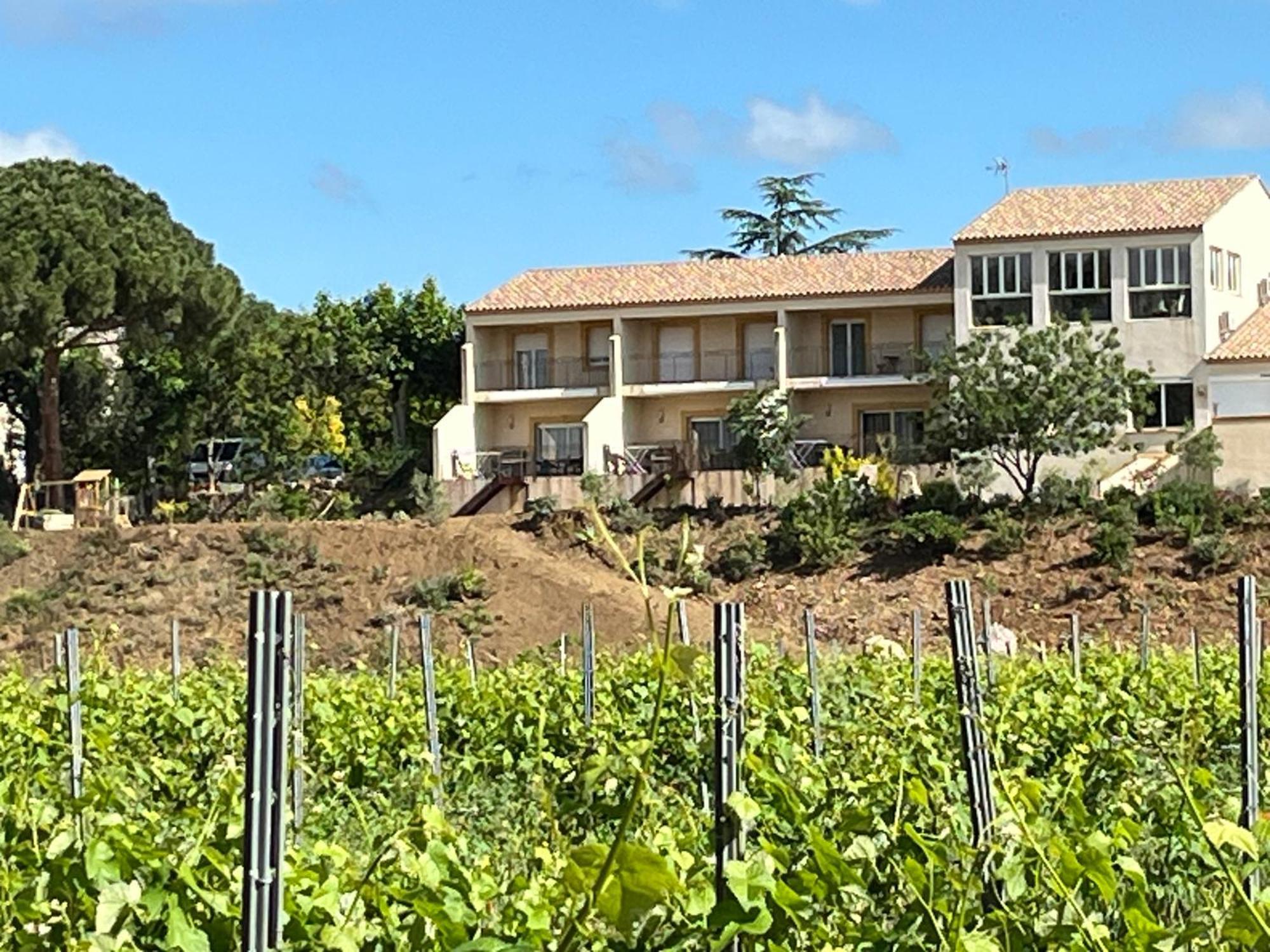 Domaine De L'Herbe Sainte Mirepeisset Ngoại thất bức ảnh